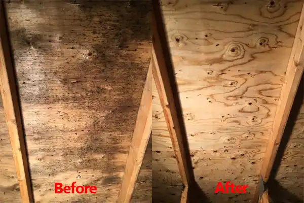 water damage restoration service Saginaw